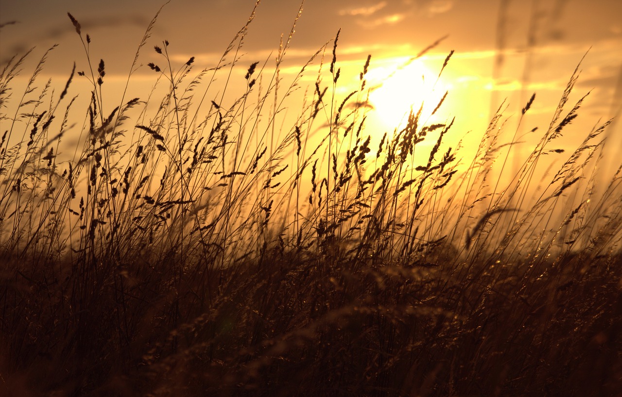 Unlocking the Power of the Sun for a Sustainable Tomorrow